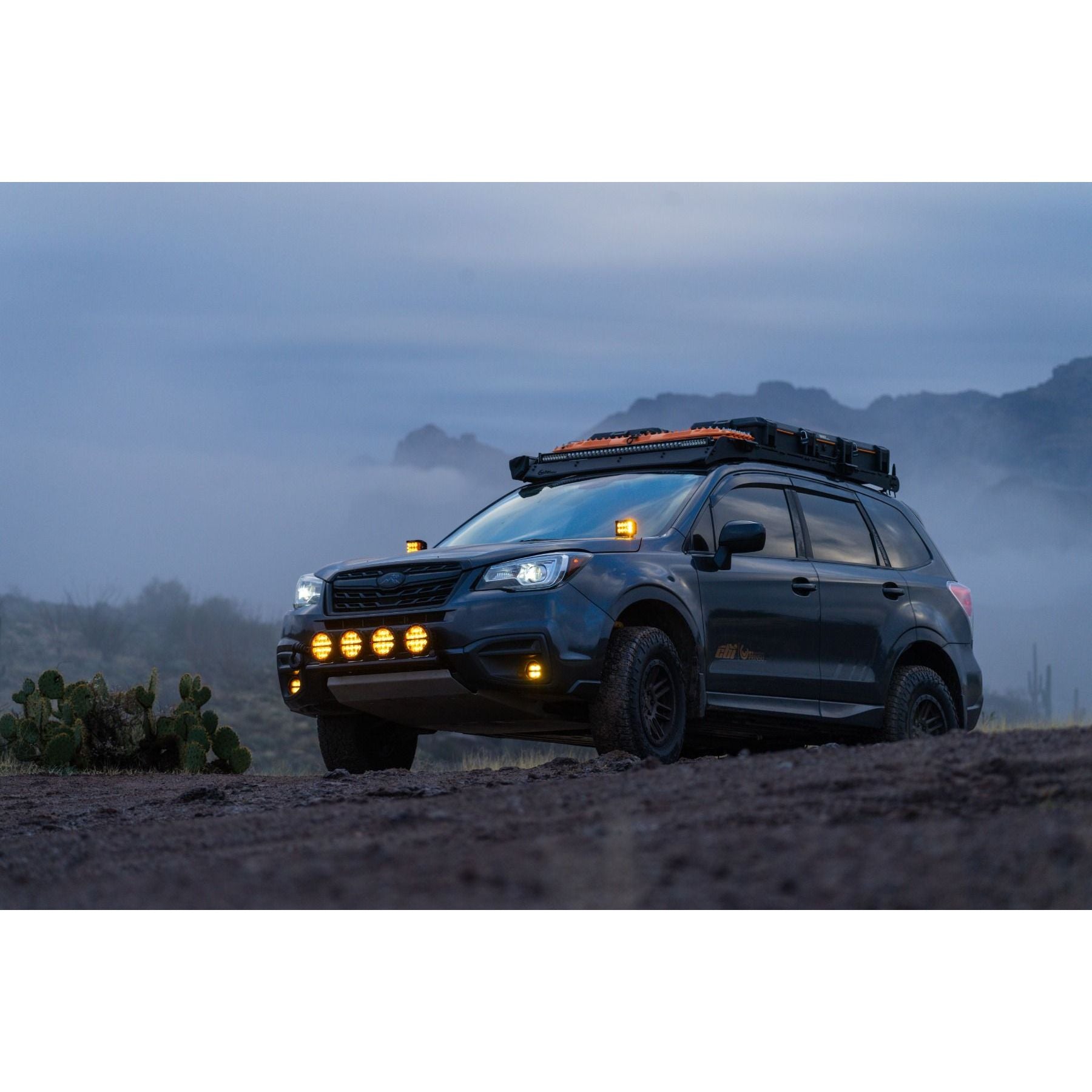 زوج من عدسات D-SS Spot مع عدسات Amber PRO