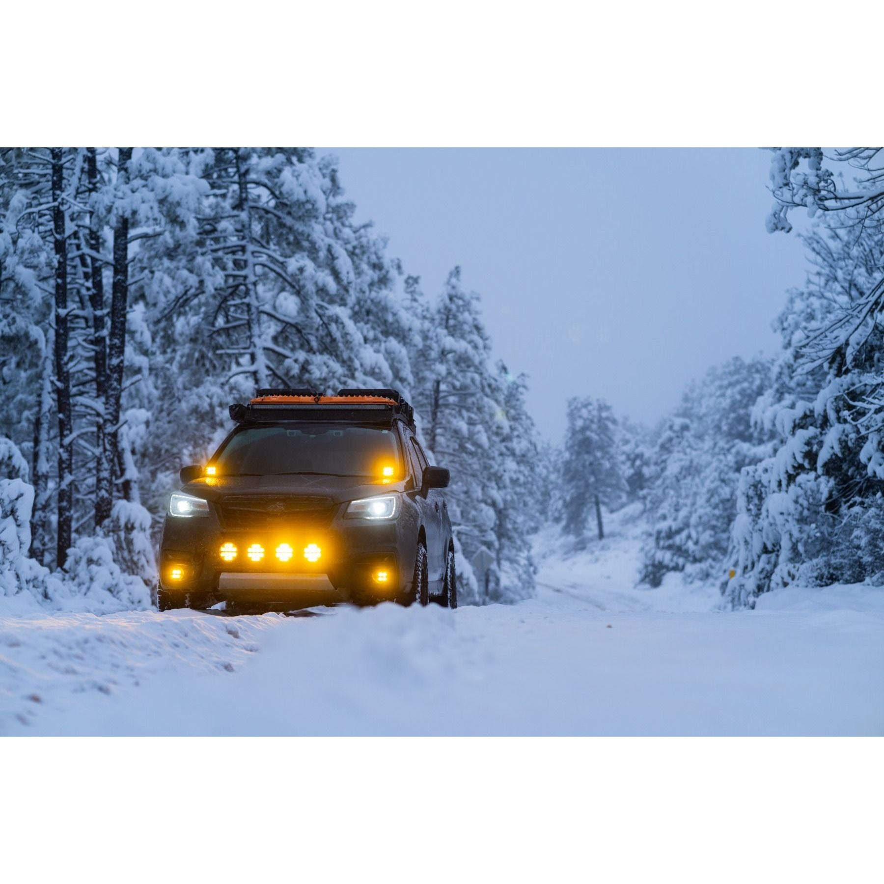 زوج من عدسات D-SS Spot مع عدسات Amber PRO