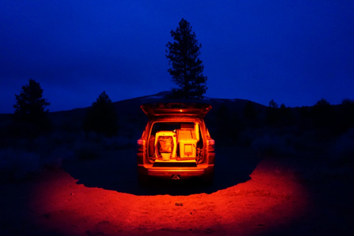 Dome Lights (SWITCH)